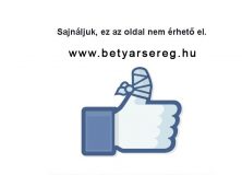 bs-honlap-gond