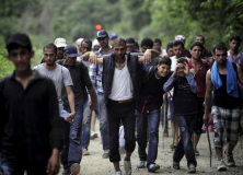 migrans-5