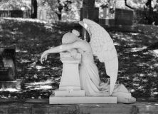 fallenangel