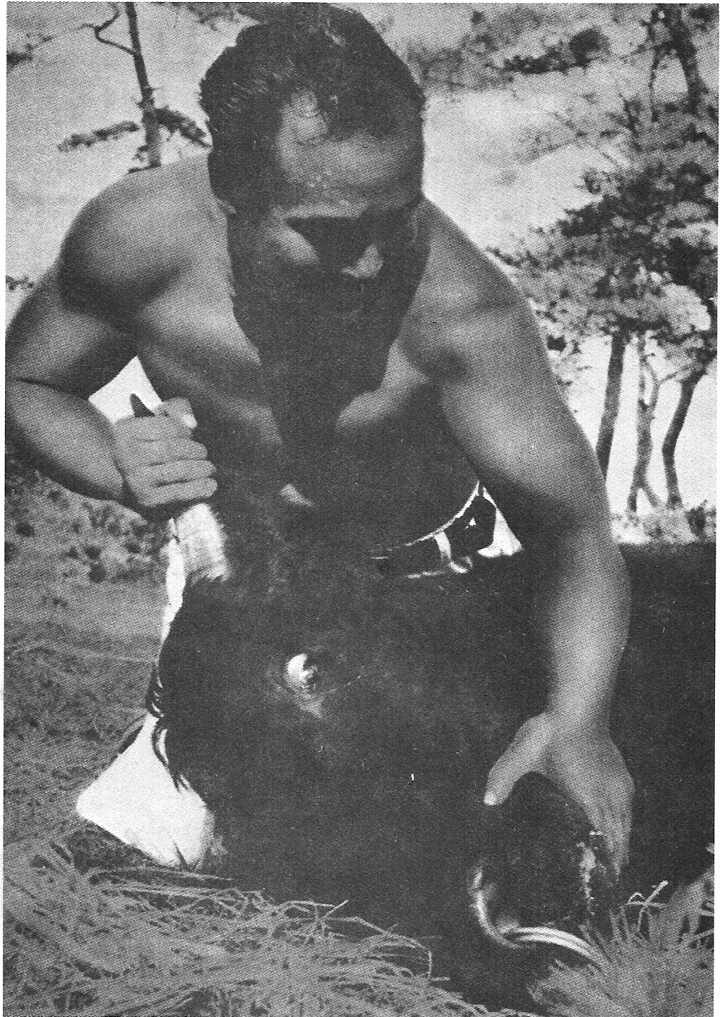 Sosai Oyama edzés gyanánt bikákkal küzdött. 